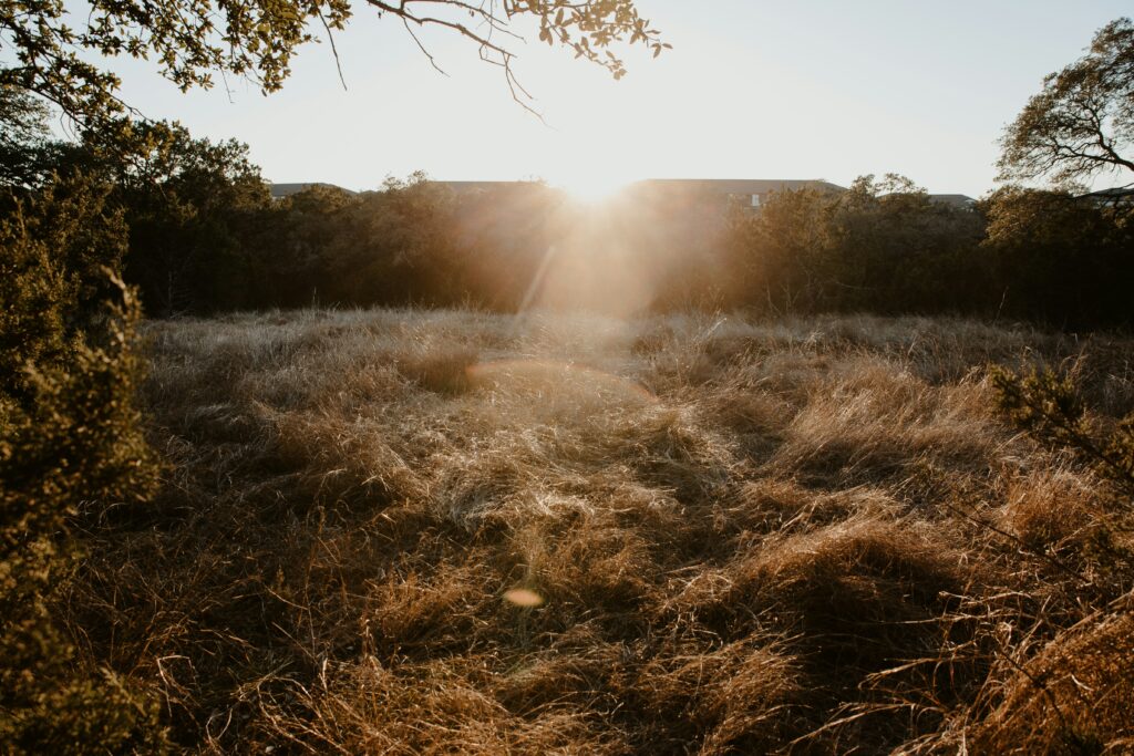 benigno hoyuela 5hcfnbxuwl0 unsplash