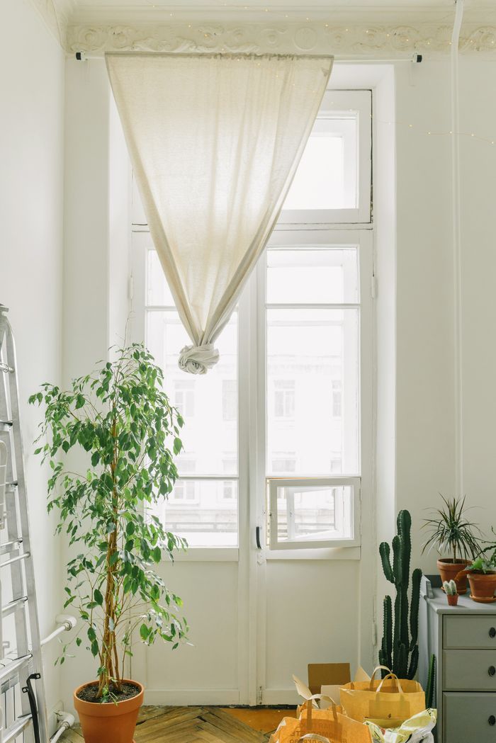 Sunny room with plants and tall windows, offering a cozy, natural feel.